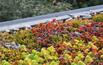 the cost of Kinver green roof installation