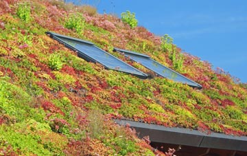 Kinver living roof systems