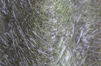 Kinver fibreglass roof work